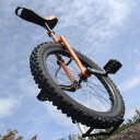 24インチのマウンテンユニサイクル【 Nimbus M-Uni 24in 】