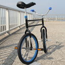【変わった一輪車】UDC - Circus Bike