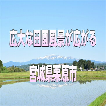 【送料無料】 米 30kg 白米 ブレンド米 激安 生活応援米 エース 東北産 /10kg×3袋/沖縄県は送料別途500円