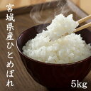 宮城産 ひとめぼれ 【LINE友だち登録で200円OFFクーポン！】米 5kg 送料無料 白米5kg×1袋 玄米5kg×1袋 ひとめぼれ 宮城県産 令和5年産 ヒトメボレ 米 5kg 送料無料 白米 精米 玄米 お米 5kg 送料無料 米5kg 送料無料 白米5kg 精米5kg 玄米5kg あじつかみ 熨斗 のし