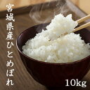 宮城産 ひとめぼれ 【LINE友だち登録で200円OFFクーポン！】米 10kg 送料無料 白米5kg×2袋 玄米10kg×1袋 ひとめぼれ 宮城県産 令和5年産 ヒトメボレ 米 10kg 送料無料 白米 精米 玄米 お米 10kg 送料無料 米10kg 送料無料 白米10kg 精米10kg 玄米10kg あじつかみ 熨斗 のし