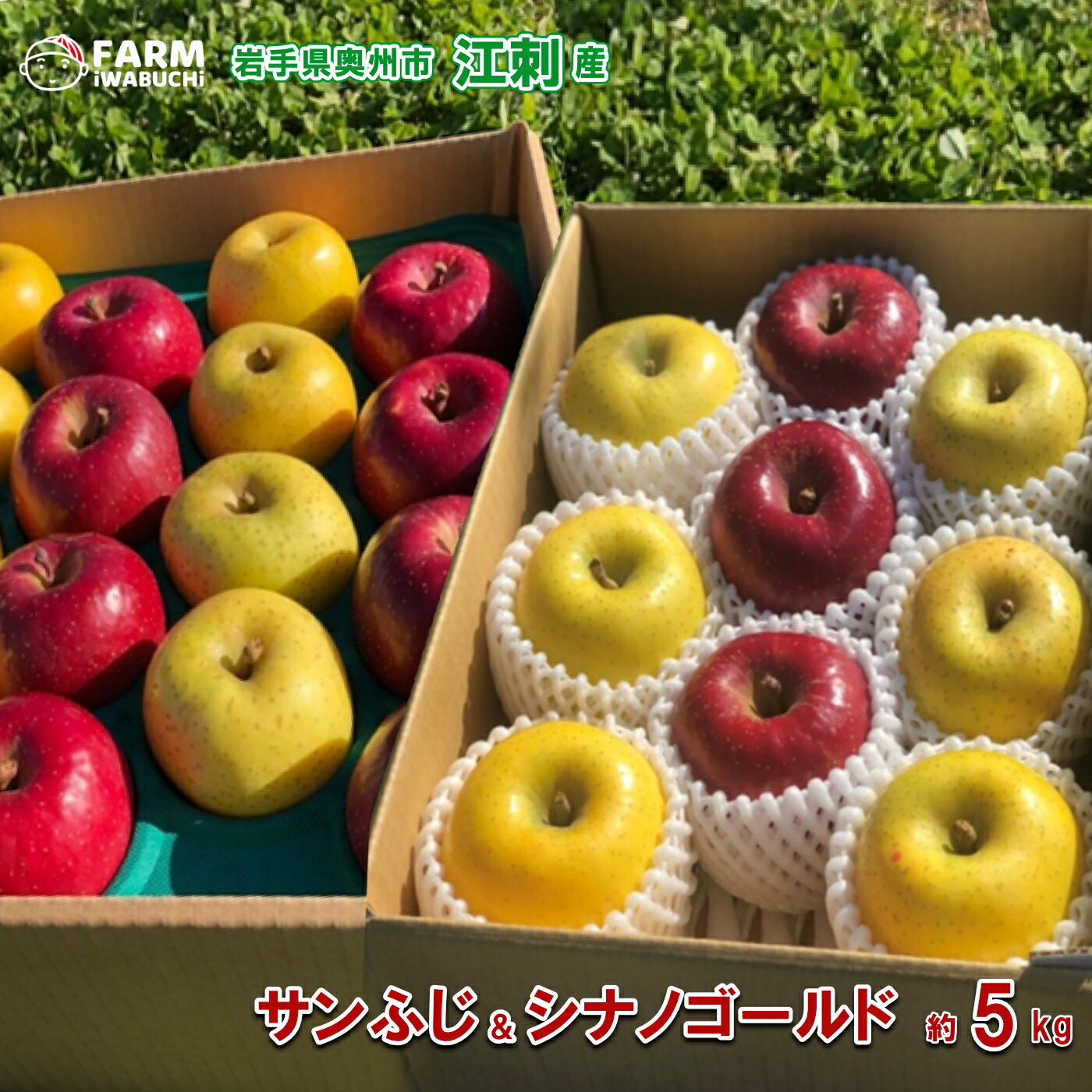 江刺産りんご岩渕ファームサンふじ／...