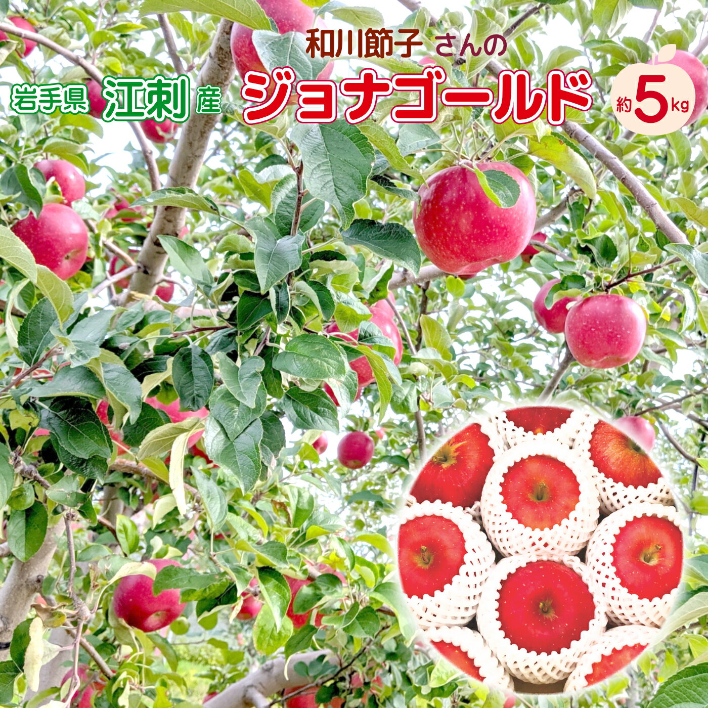 江刺産りんご和川さんのジョナゴール...