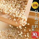 玄米　宮城県産　ひとめぼれ　30kg　1袋　送料無料　令和元年産　お米　検査一等米