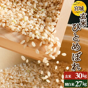 宮城県産 ひとめぼれ 調整玄米30kg or 白米27kg 令和6年産 検査一等米 送料無料
