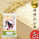 人気ランキング第15位「お米・菓子の直売所あじわいの朝」口コミ数「31件」評価「4.87」令和5年産　宮城県産　ササニシキ　5kg　送料無料　お米　精白米　（離島・沖縄発送不可）