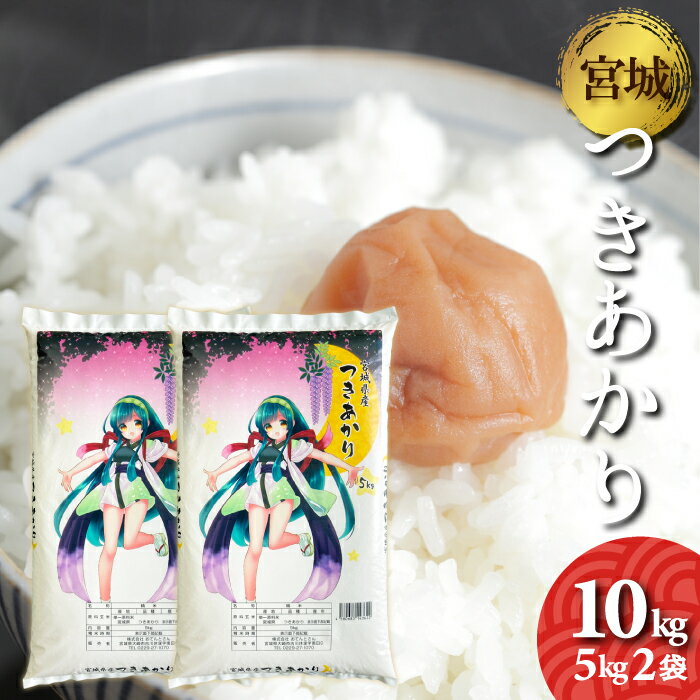 令和5年産　宮城県産　つきあかり　10kg　5kg2袋　送料無料　お米　精白米　