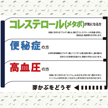 女性にうれしい！！【昆布森 おしゃぶり芽かぶ（めひび）】95gお口のさみしい時に最適です！！【最安値挑戦】