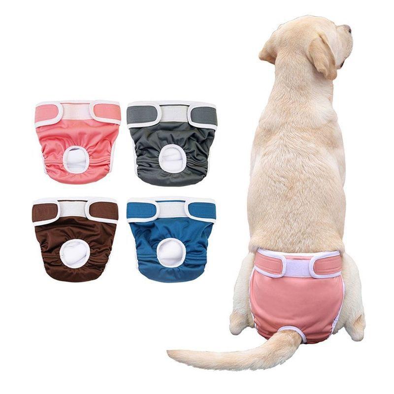 ���� �ޥʡ��ѥ�� �᥹�� ���λ��� �����Ѥ���ĥ��С� ��� �ȥ���ȥ졼�˥� �ɿ� �ۿ� ������ �ݥꥨ���ƥ� ̵�� ������ �淿�� �������֥롼 ������...