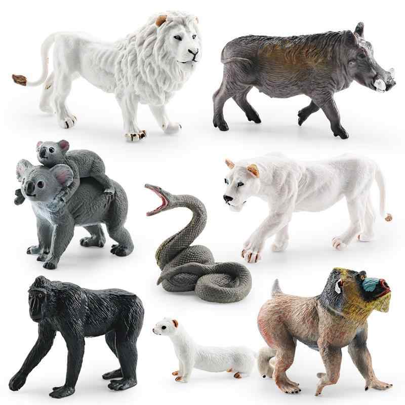 ・カテゴリ: 動物、植物モデル・モデルタイプ: 静的・素材: プラスチック・組み立て: 不要・対象年齢: 4〜6歳