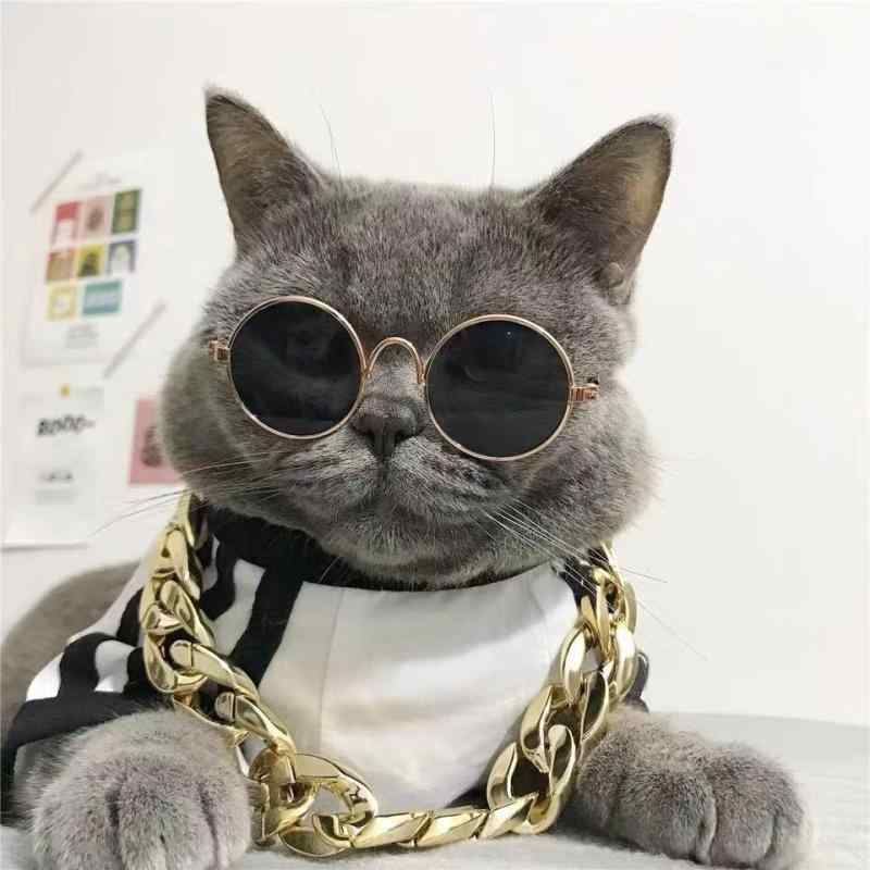 Sunglasses - ペット用サングラス 犬 猫 小型犬 子猫 メガネ 眼鏡 アイウェア おしゃれ トレンド かわいい キュート 個性的 撮影用 フォトプロップス 小物 グッズ コスプレ UVカット 丸型 メタルフレーム 軽量