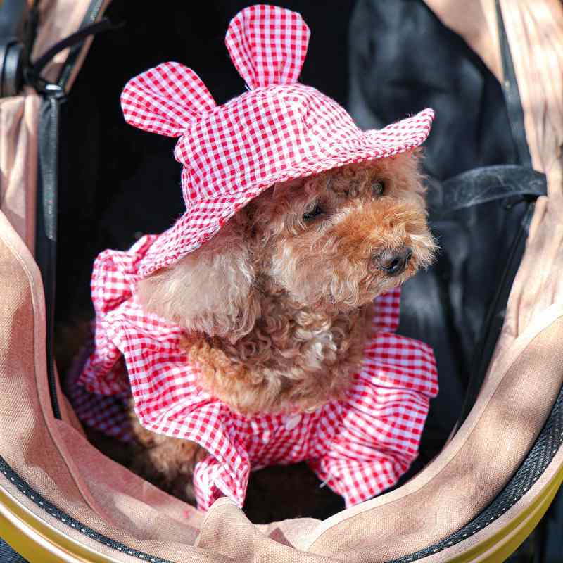 ペット帽子 犬猫兼用 小型犬 外出 散歩 チェック柄 かわいい おしゃれ カジュアル かっこいい サマーハット UVカット 日よけ 日焼け対策 レッド ブラック ピンク