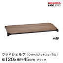 \̔(5{oח\)X`[bN J[bN [ [I Ɩp GN^[ bN x[VbNV[Y EbhVFt Ip 120~s45cm ERECTA p[c  B1848MWB1