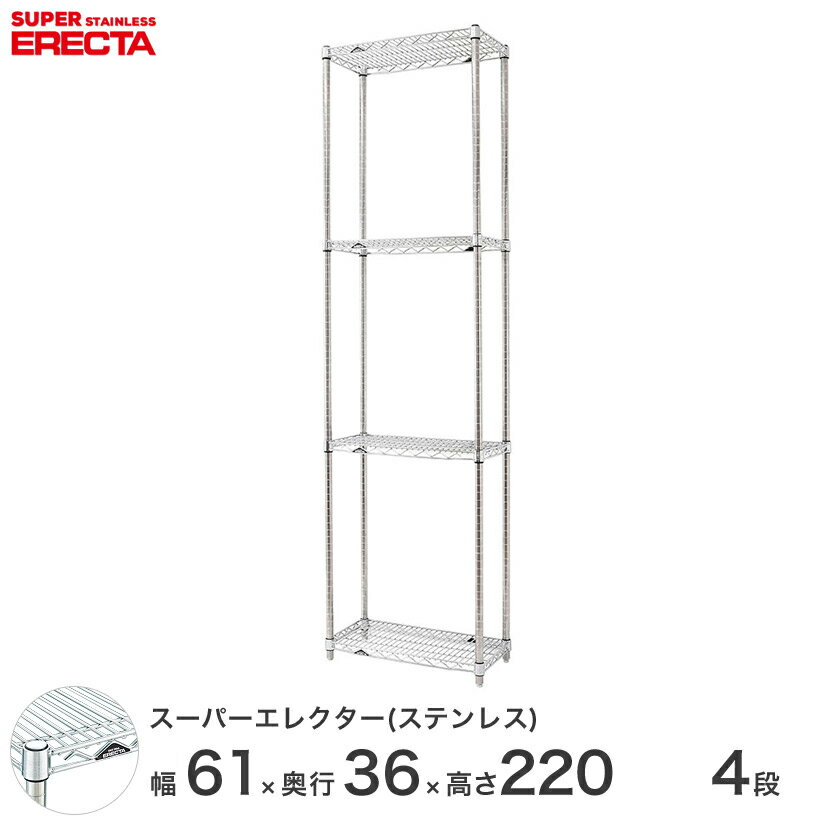 ̵ 쥯 ERECTA ƥ쥹쥯 С ƥ쥹å ˼ Ǽå ̳ ե  60߱35߹⤵220 4 SAS610PS2200W4