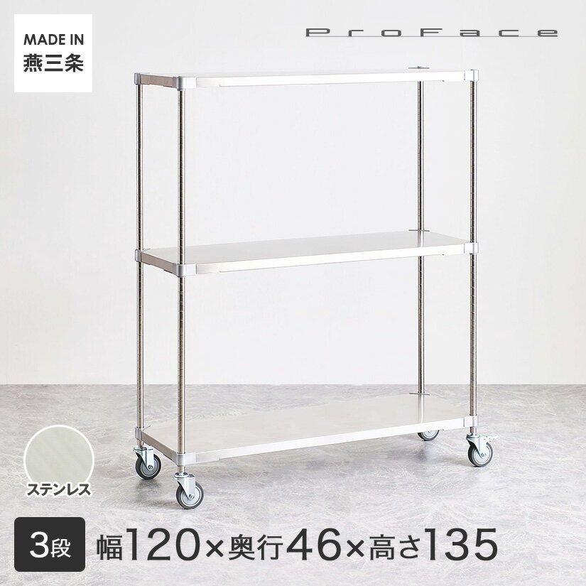 PROFACE プロフェイス SUS304ステンレス ステンレスラック 衛生 病院 研究所 施設 ワ