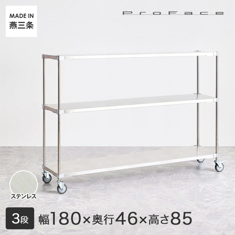 【受注生産】PROFACE プロフェイス SUS304ステンレス ステンレスラック 衛生 病院 研究