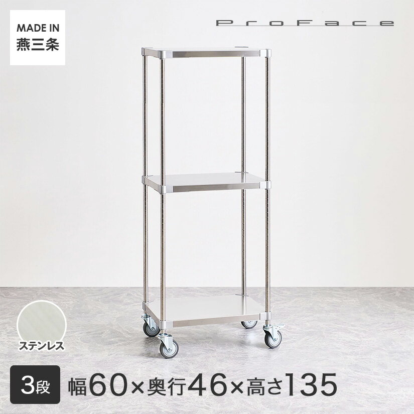 PROFACE プロフェイス SUS304ステンレス ステンレスラック 衛生 病院 研究所 施設 ワ