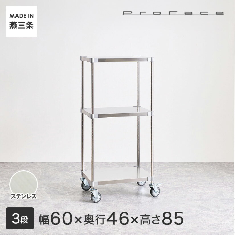 PROFACE プロフェイス SUS304ステンレス ステンレスラック 衛生 病院 研究所 施設 ワゴン 隙間収納 省スペース キャスター付き 移動 幅60 奥行46 高さ85 3段 (幅61.5×奥行46.3×高さ87.3cm) SSW3-46607
