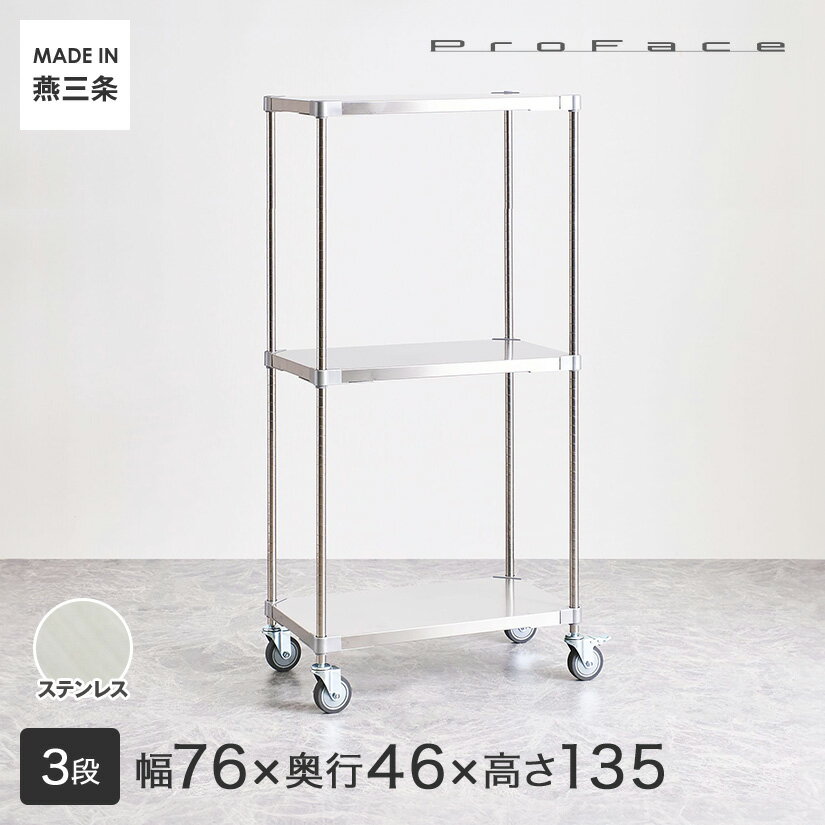 PROFACE プロフェイス SUS304ステンレス ステンレスラック 衛生 病院 研究所 施設 ワ