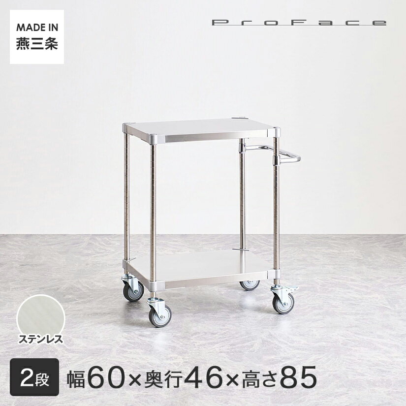 PROFACE プロフェイス SUS304ステンレス ステンレスラック 衛生 病院 研究所 施設 ハンドル付きワゴン 隙間収納 省スペース キャスター付き 移動 幅60 奥行46 高さ85 2段 (幅61.5×奥行46.3×高さ87.3cm) TSSW2-46607