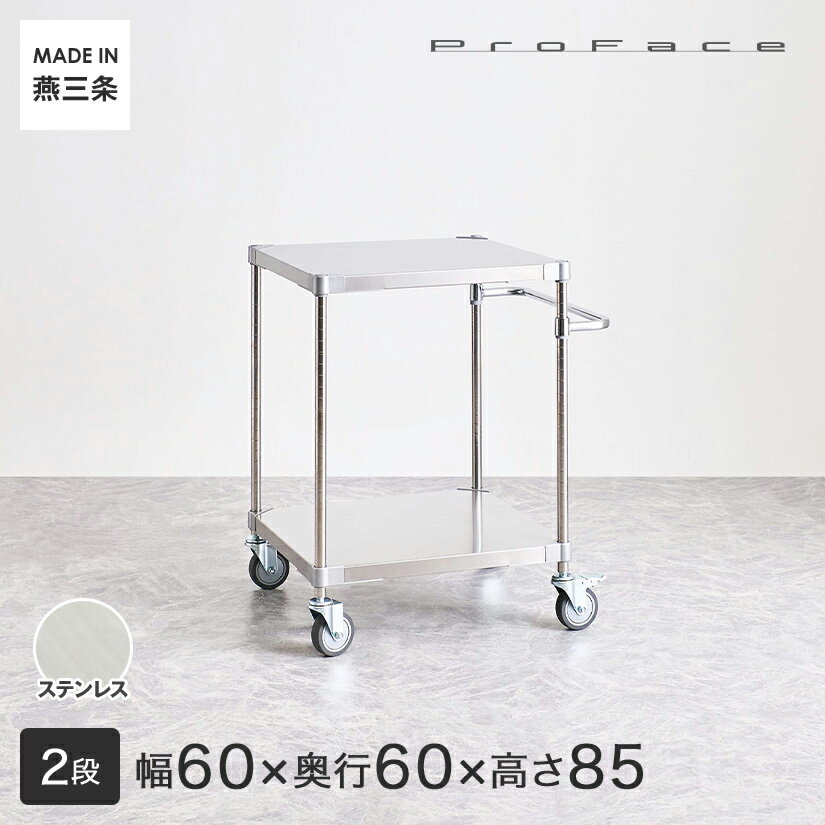 PROFACE プロフェイス SUS304ステンレス ステンレスラック 衛生 病院 研究所 施設 ハンドル付きワゴン 隙間収納 省スペース キャスター付き 移動 幅60 奥行60 高さ85 2段 (幅61.5×奥行61.5×高さ87.3cm) TSSW2-60607