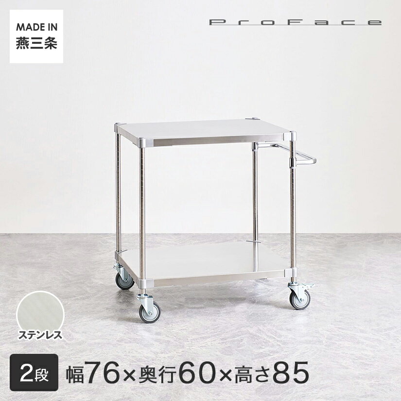 PROFACE プロフェイス SUS304ステンレス ステンレスラック 衛生 病院 研究所 施設 ハンドル付きワゴン 隙間収納 省スペース キャスター付き 移動 幅76 奥行60 高さ85 2段 (幅76.7×奥行61.5×高さ87.3cm) TSSW2-60767