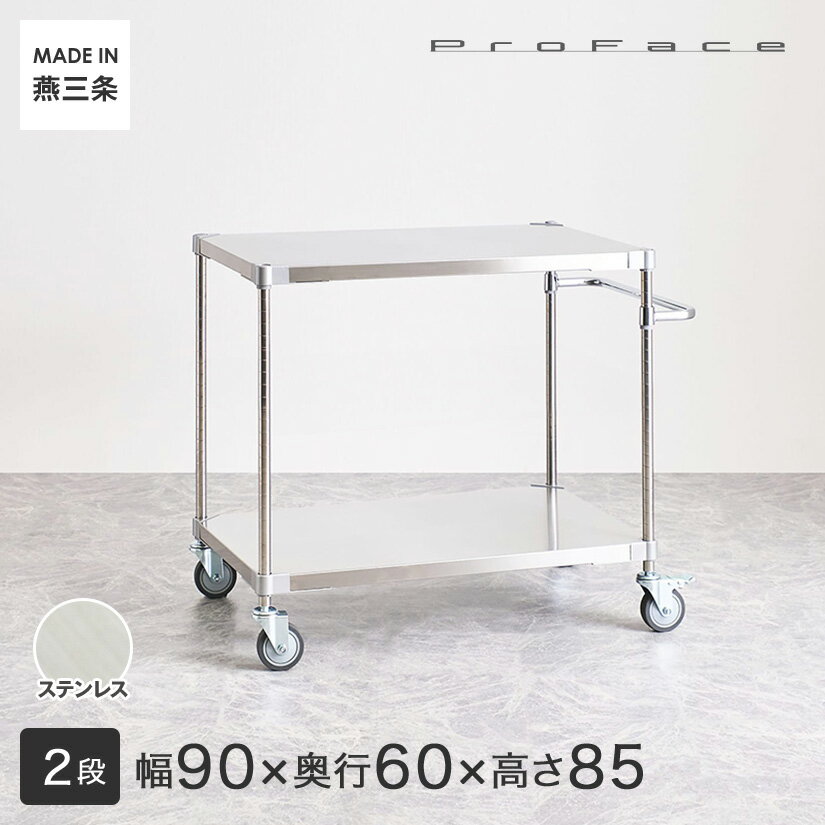PROFACE プロフェイス SUS304ステンレス ステンレスラック 衛生 病院 研究所 施設 ハンドル付きワゴン 隙間収納 省スペース キャスター付き 移動 幅90 奥行60 高さ85 2段 (幅91.3×奥行61.5×高さ87.3cm) TSSW2-60907