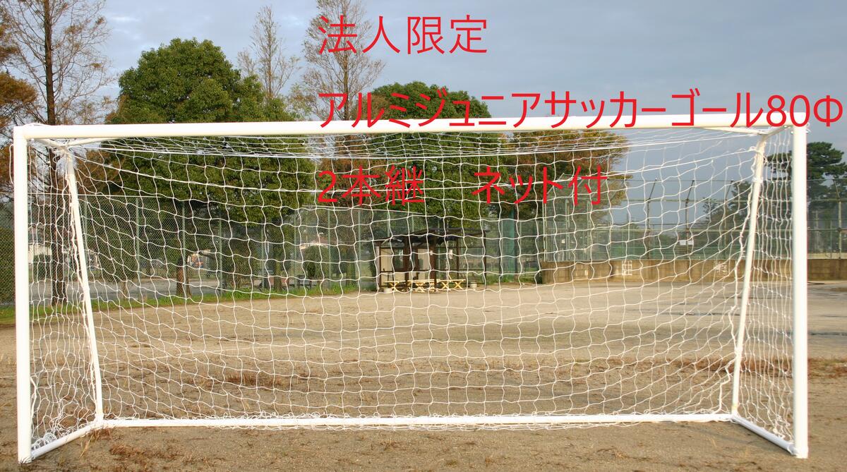 アルミジュニアサッカーゴール 少年 サッカーゴール アルミ ゴール 1組 アカバネ サッカーゴール 法人限定 アカバネ(AKABANE)B-3675