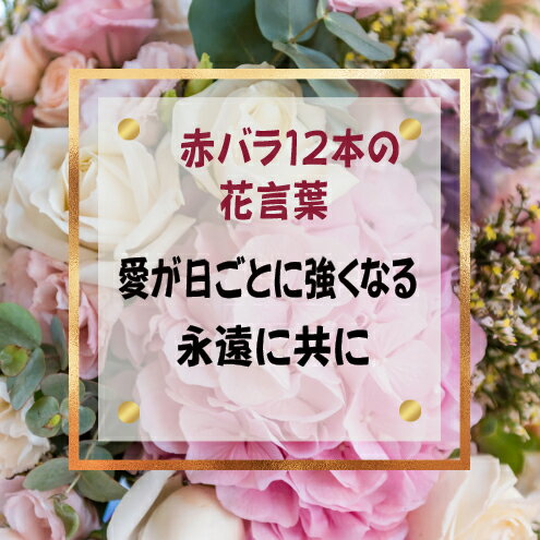赤バラ12本のプリザーブドフラワーのブーケ、ラ...の紹介画像3