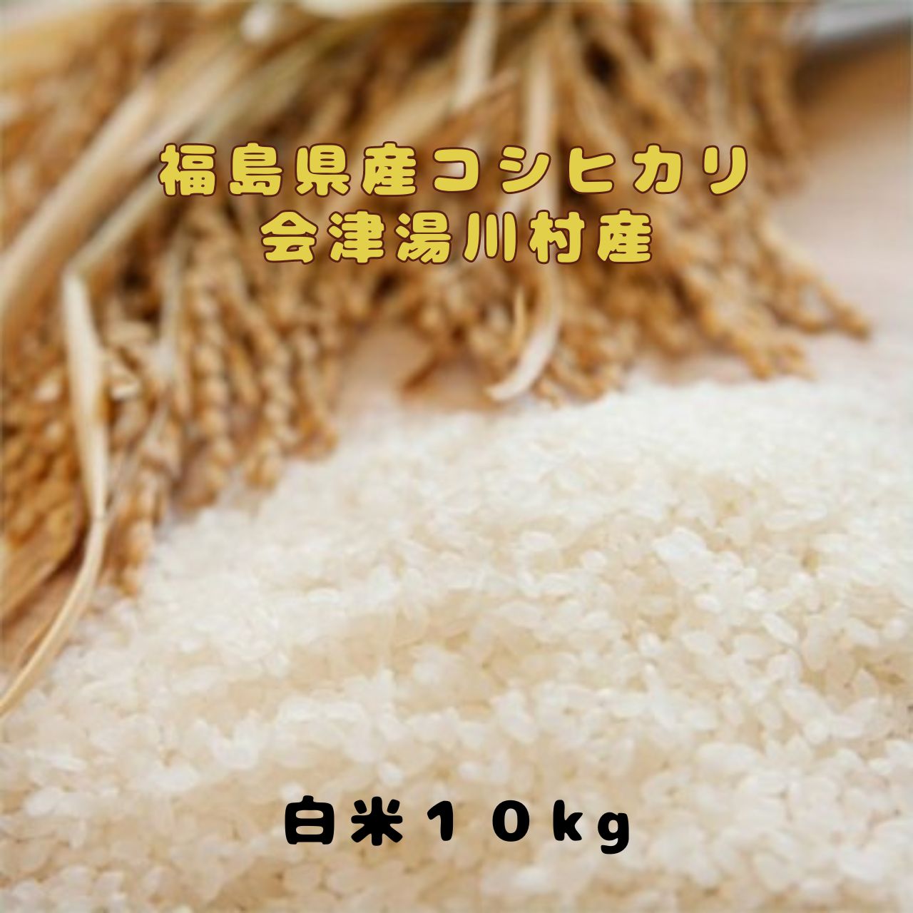 福島県産米コシヒカリ 白米 福島県産コシヒカリ こしひかり ブランド米 新米 2024 一等米 一等白米 10kg 会津湯川村産コシヒカリ 令和6年度産