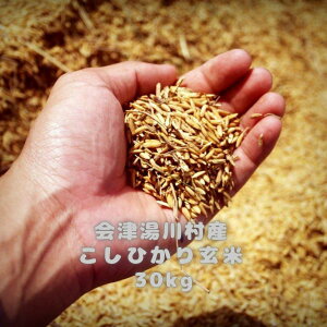 2023 会津湯川村産 コシヒカリ 玄米 30kg
