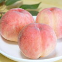 【クール便】≪特秀品≫ 福島県産 白桃 4〜6玉入 (1.8kg,4/6玉)