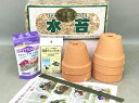 胡蝶蘭植え替えセット(3.5号鉢)
