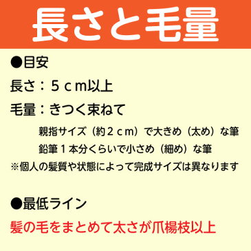 熊野筆の技術で制作する赤ちゃん筆（胎毛筆・誕生記念筆)　さくらコース　 桜軸（朱・黒）/ta-sakura-sakura-b