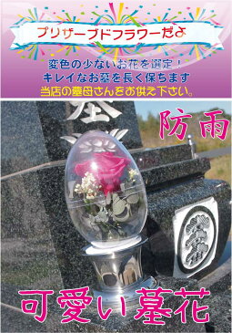 お供え お墓参り 花 墓花 花立 花筒 お彼岸 お盆 命日 供養 盆 バラ 薔薇 一周忌 法事 アレンジメント ガーデン DIY 花 観葉植物 プリザーブドフラワー