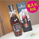 カミュ VSOP ブランデー プレゼント 名入れ 還暦祝い 母の日 定年 退職 退職祝い 記念品 コニャック ウィスキー ボトル 男性 女性 還暦 記念 名前 刻印 ウイスキー ギフト 父の日 上司 感謝 30代 40代 50代 60代 70代 エンブレム 洋酒 酒 ボトル 父