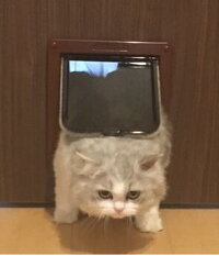 くぐり抜け
