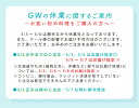 【5/2 11:59まで】お食い初め セット 料理 食器セット お食い初めセット 鯛 飾り お膳 初膳 日本製 男の子 赤色 女の子 黒色 おくいぞめ 送料無料※女の子(黒)は5/10発送予定 2