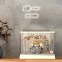 オンライン限定アイテム 五月人形 アクリルケース 選べる3種類 徳川家康 上杉謙信 伊達政宗 間口36cm 5号兜 ケース飾り 武将 兜飾り 端午の節句 初節句 5月人形 こどもの日 お祝い モダン おしゃれ かわいい コンパクト ナチュラル くすみ