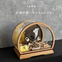 五月人形 平安翠鳳 永遠の兜 KINGDOM コンパクト アクリルケース 飾れるケース飾り 兜飾り 8号兜 たも 金/茶 八重桜 ケース飾り ナチュラル 間口4...
