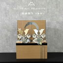 【収納台】 五月人形 兜飾り 8号兜 多祥 双子 兄弟 コンパクト 収納台飾り ナチュラル 手描風 月 五月人形 端午の節句 兜飾り コンパクト飾り おしゃれ モダン 収納飾り お祝い くすみ