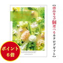 \ポイント6倍/【送料無料】 カタログギフト テイクユアチョイス チューリップ トリプル 15000円 ハーモニック 結婚 引き出物 内祝 お返し お祝い takeyourchoice 出産内祝 出産お祝い グルメ おすすめ 人気 法事 法要 香典返し 満中陰志 引っ越し 新築 快気祝い 記念品