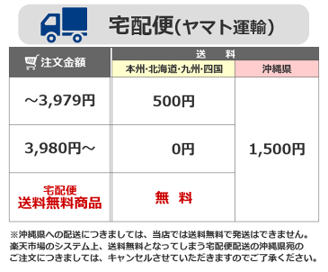 男性用 使い捨て下着 ペーパーブリーフ (M〜LL) 3枚入り 旅行用/携帯/パンツ/防災/避難/メンズ (DM便不可・ネコポス不可)