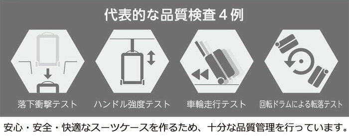 無料飛行機預け可能 最大級容量105L スーツケース hideo design byHIDEO WAKAMATSU ヒデオワカマツ メガマックス 大型 TSAロック付 4輪 85-75950【旅行用品/トラベル/ハード/旅行かばん/国内/海外】(送料無料/沖縄除く)