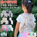 送料無料 中綿入りベスト ダウン風ベスト 子供服 裏ボア 裏起毛 キッズ ベビー ジュニア 襟付き 女の子 男の子 アウター 袖なし 防寒 あったか もこもこ 無地 単色 スナップボタン ポケット付き 上着 羽織 おしゃれ かわいい シンプル カジュアル デイリー 着回し お出かけ