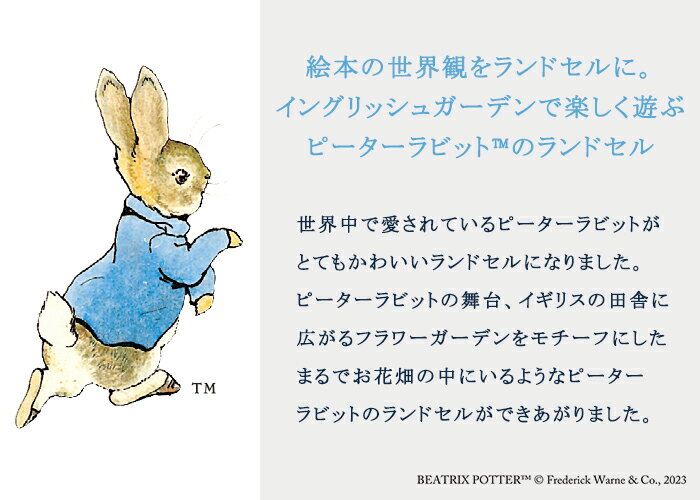 サンプル画像3
