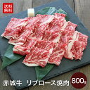 赤城牛 リブロース 焼肉 800g (400g×2) 4~5人前 送料無料 冷凍 バーベキュー ロース サーロイン 焼き肉 お取り寄せ グルメ ギフト プレゼント 赤城和牛 肉 牛肉 国産牛 霜降り 赤身 お中元 お歳暮 お誕生日 母の日 父の日 内祝い 贈答