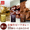 カレー 赤城牛 ビーフカレー 選べる 10個 セット 常温 お取り寄せ グルメ 国産牛 牛肉 レトルト ビーフ カレー 詰め合わせ 贈答用 ギフト