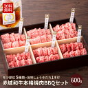焼肉 用 赤城和牛 バラ 焼肉 BBQ セット 600g 冷凍 旨味しょうゆだれ付 お取り寄せ グルメ 和牛 牛肉 バラ 5種類 ( 上カルビ カイノミ ササミ...