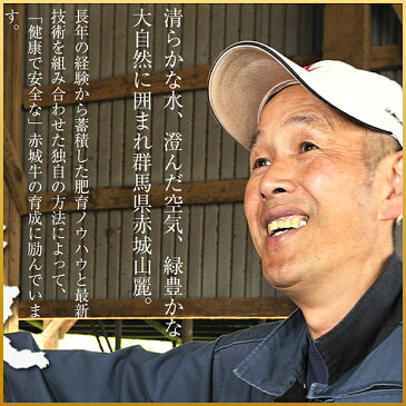 肉 和牛 牛肉 【ラッピングセット】内祝い ギフト 厚さ2センチ!赤城和牛特大特厚リブロースステーキ600gとデンマーク大使専属シェフ監修エシャロットソースのセット 赤城牛・赤城和牛・牛肉 ギフトのとりやま 【冷凍】【送料無料】 内祝い 贈答
